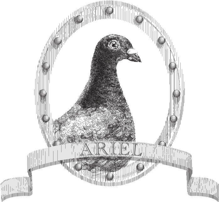Ariel, The Bird that Started it All